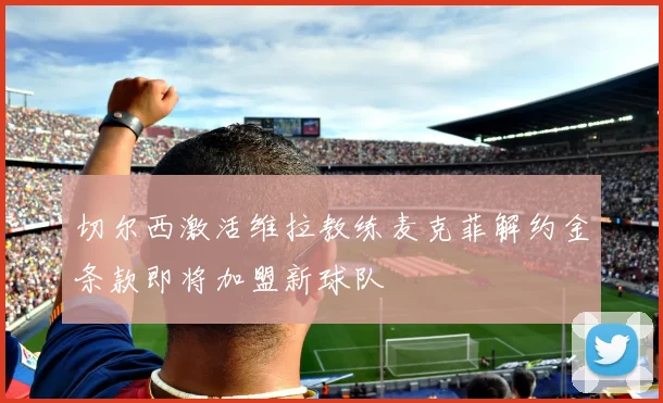 切尔西激活维拉教练麦克菲解约金条款即将加盟新球队