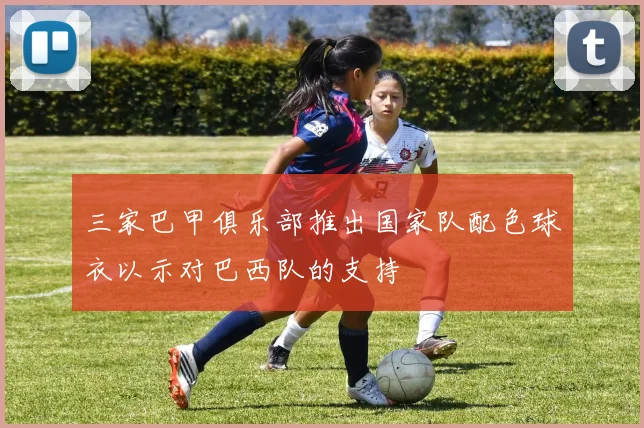 三家巴甲俱乐部推出国家队配色球衣以示对巴西队的支持