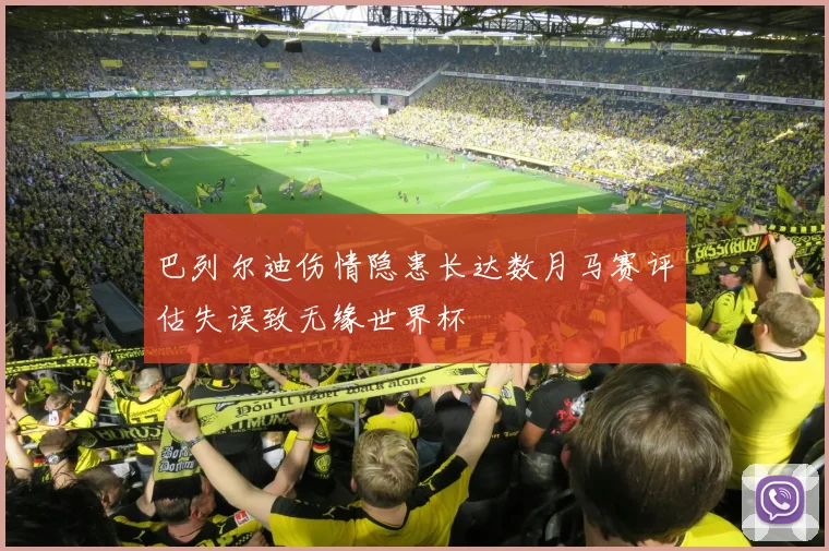 巴列尔迪伤情隐患长达数月马赛评估失误致无缘世界杯